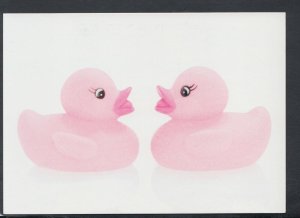 Toys Postcard - Children's Bath Toys - Pink Toy Ducks  RR7463