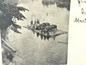 Postcard 1907 View of Rafting Logs on Connecticut River, CT   W6