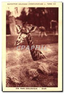 Old Postcard Exposition Coloniale Internationale Paris Zoo Giraffe Zoo