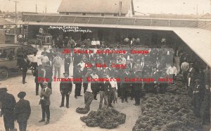 FL, Tarpon Springs, Florida, RPPC, Sponge Exchange Scene