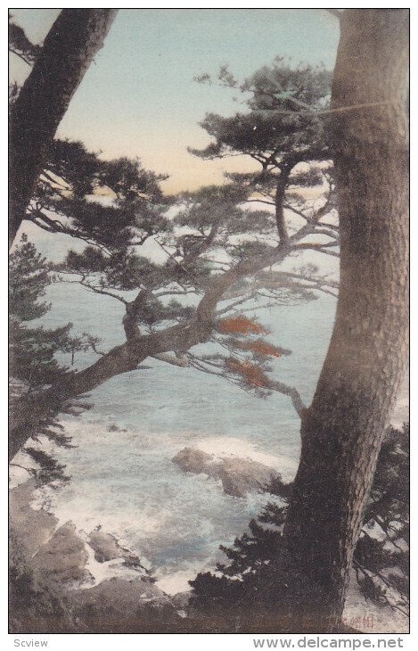 YOKOHAMA, Japan, 1900-1910's; Sea Shore of Yokohama