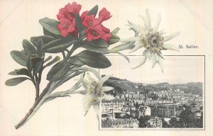 ST. GALLEN SWITZERLAND FLOWERS & TOWN VIEW POSTCARD (c. 1907)