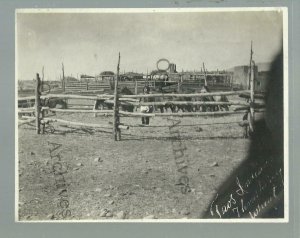 Taos NEW MEXICO RPPC RP c1910 INDIAN THRESHING WHEAT Indians Pueblo? CORRAL