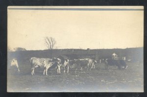 RPPC PEEBLES WISCONSIN CATTLE COWS FARMING VINTAGE REAL PHOTO POSTCARDS