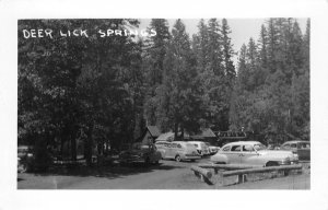 RPPC DEER LICK SPRINGS Trinity County, California Cars ca 1950s Vintage Postcard