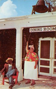 Lewis Plantation Guides  Brooksville FL