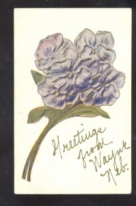 GREETINGS FROM WAYNE NEBRASKA PURPLE FLOWERS VINTAGE POSTCARD 1908 HANSON