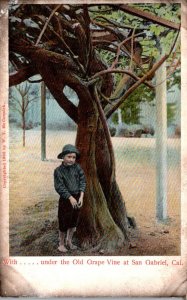 California San Gabriel Young Boy Under The Old Grape Vine