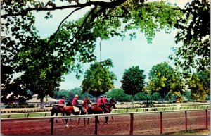 Vtg Saratoga Springs NY Horse Race Course Track Morning Workout Postcard