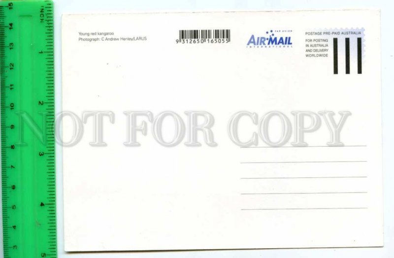 420874 AUSTRALIA kangaroo Pre-paid Postal Stationery postcard