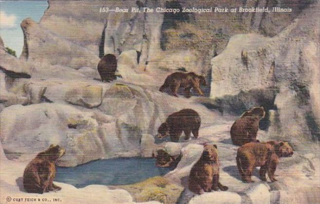 Illinois Chicago Zoological Park At Brookfield The Bear Pit Curteich