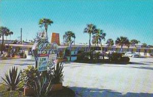 Florida Daytona White Lady Motel