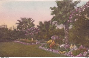 CHARLESTON , South Carolina , 00-10s ; Gardens of Dr. W.J.Pettus, South Battery