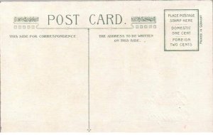 Christmas Greetings - Floral with Tree branches and Berries - Silk Made - c1908