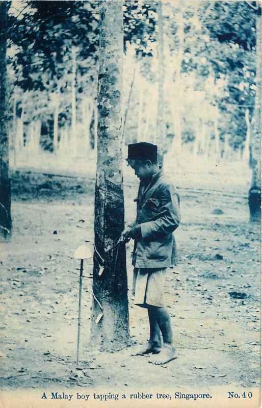 Vintage Postcard A Malay boy Tapping a Rubber Tree Singapore