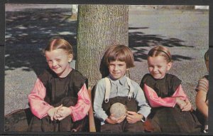 Pennsylvania - Greetings From The Amish Country - [PA-525]