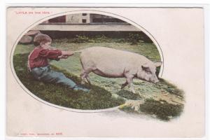 Little on The Hog Boy Pig Wrestling 1905c postcard