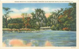 Silver Springs Florida Glass Bottom Boat, Trees Linen Postcard Unused