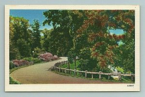 Sidewalk through Park, Nature, Street Light, Road, Flowers, Fence Postcard