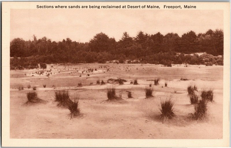Areas Where Sands Are Being Reclaimed Desert of Maine Freeport ME Postcard O08