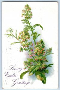 c1910's Easter Greetings Flowers Embossed Muncie Indiana IN Tuck Posted Postcard