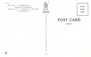 Vintage Postcard Top Jungle Brook Gatlinburg Tennessee Great Smoky Mts. Nat Park