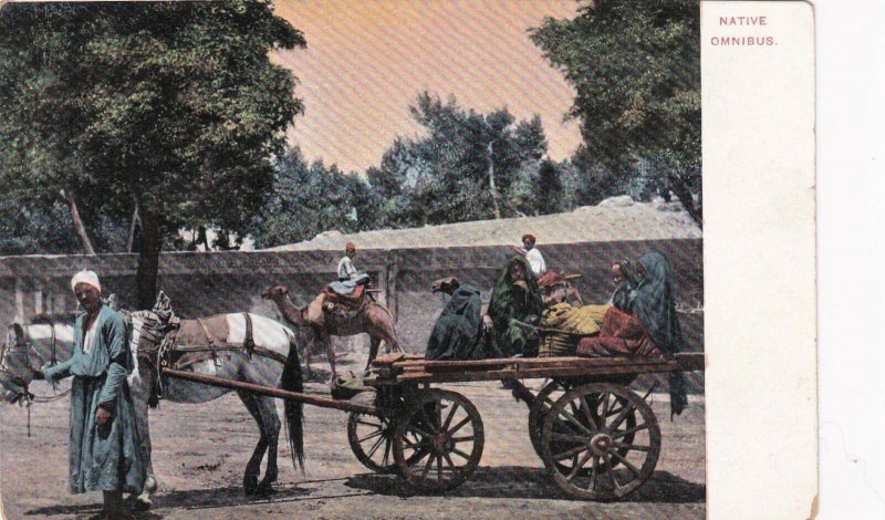 Egypt Cairo Native Omnibus Horse and Wagon sk2074a