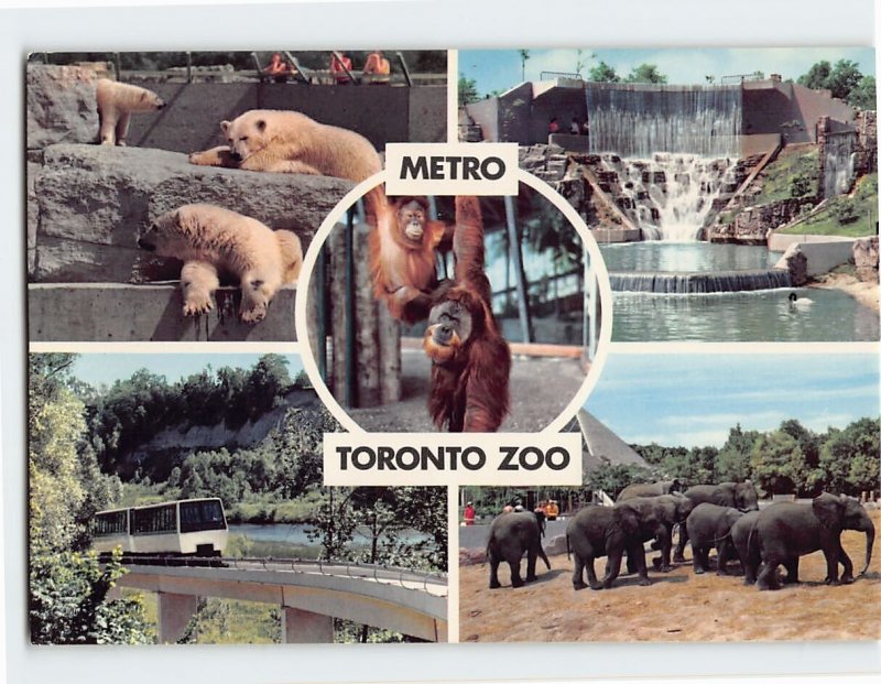 Postcard Metro Toronto Zoo, Toronto, Canada