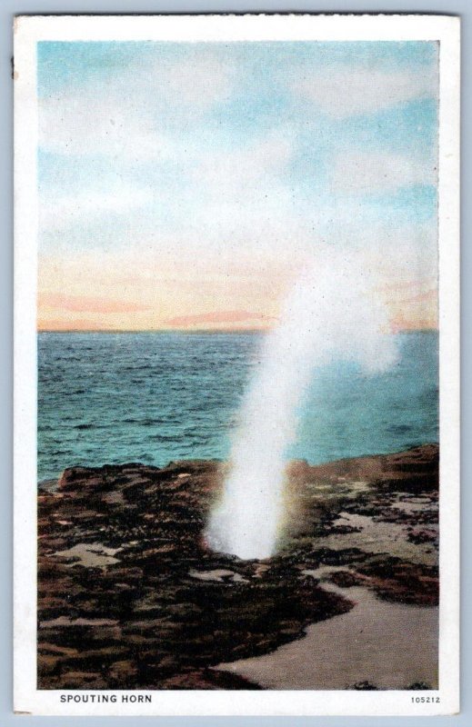 1920'S Spouting Horn Koloa Shore Hawaii Territory Honolulu Paper CO Postcard United States
