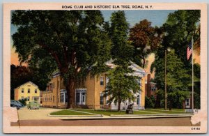 Rome New York 1940s Postcard Rome Club And Historic Elm Tree