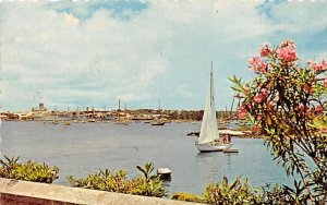 Sail Boat, Hamilton Harbour Bermuda Postcard