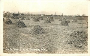 Postcard RPPC Photo Washington Sumas Farm Agriculture 22-12363