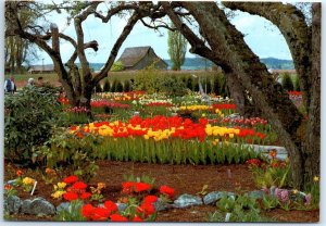 Postcard - Display Garden - Mount Vernon, Washington