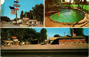 Sturgeons Log Cabin Motel Cafe Lovelock Nevada Multi View Signs Pool Postcard