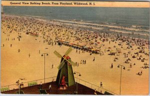 Postcard BEACH SCENE Wildwood New Jersey NJ AL0189