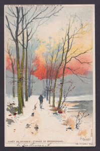 Vintage Postcard Belgium Ranot Soignes Forest 1905