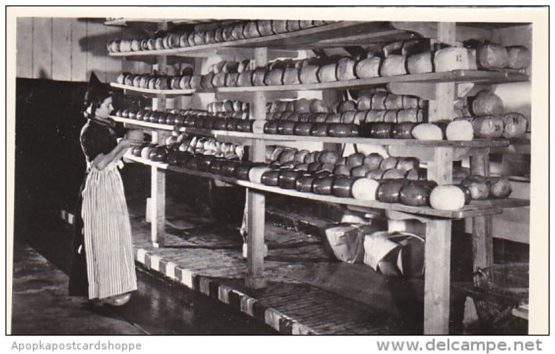 Netherlands Broek Cheese Drying Scaffold Real Photo