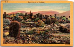 Phoenix Arizona AZ, Barrel Cactus on the Desert, Visnaga, Vintage Postcard