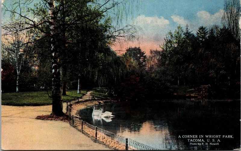 VINTAGE POSTCARD SWAN ON LAKE IN WRIGHT PARK TACOMA WASHINGTON c. 1910