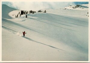 Little Yoho Valley BC Skiing in Canadian Rockies Fresh Powder Unused Postcard C7