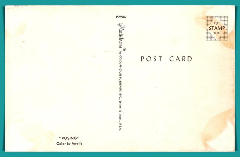 Young Boy & Calves Posing - [MX-802]