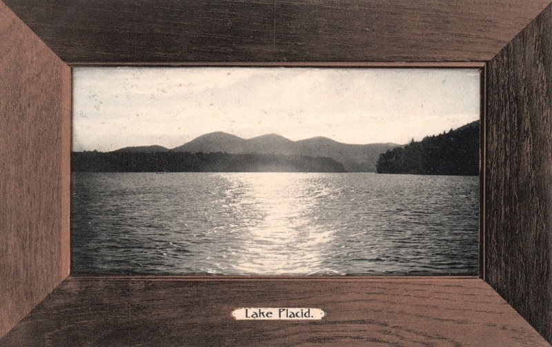 Lake Placid Adirondack Mountains New York NY Rotograph Co. Pub. Vintage Postcard