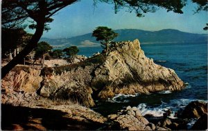 Rocky Crescent Shaped Caramel Bay Monterey Cypress Trees Mountains Postcard UNP 