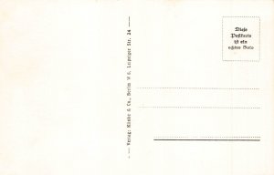 L115 Germany Buder's training aircraft 'Jungmann' real photo p...