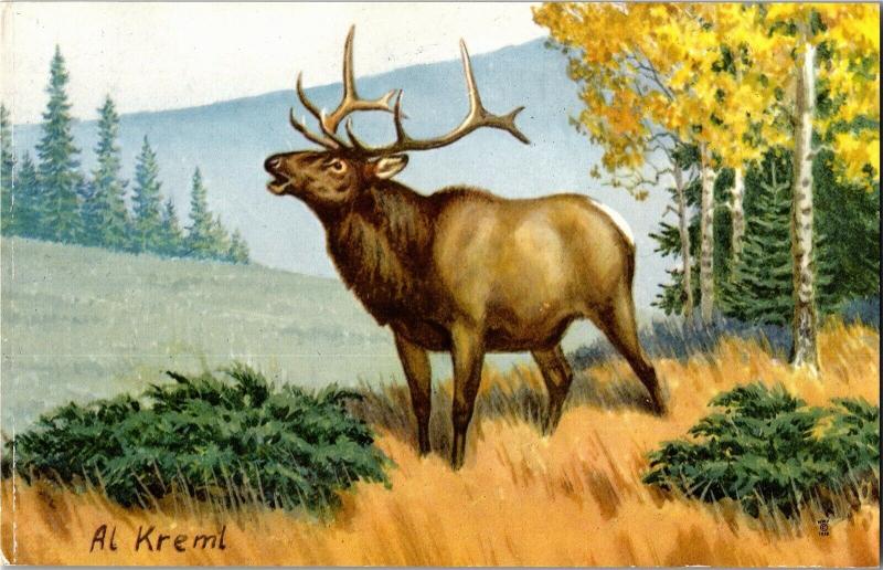 Elk, Painted by Al Kreml Vintage Postcard Q25