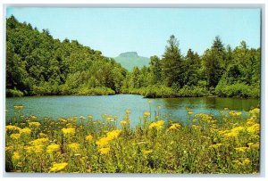 c1950's Table Rock River Lake Grove Flowers Western North Carolina NC Postcard