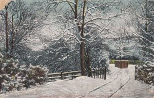 Lady Edith Drive At Christmas Snow Scarborough Antique Postcard