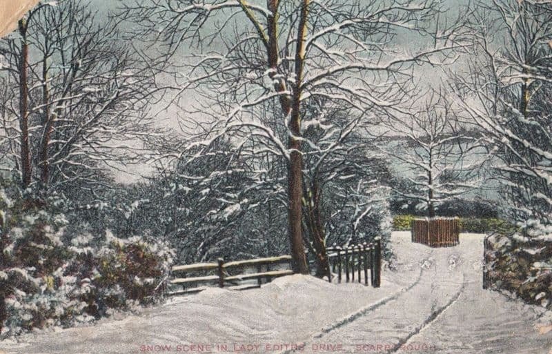Lady Edith Drive At Christmas Snow Scarborough Antique Postcard Europe United Kingdom