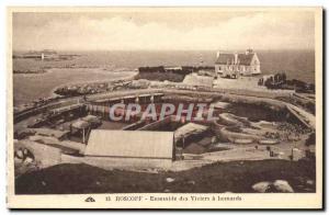 Old Postcard Roscoff Viviers Ensemble of lobsters