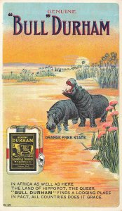 Genuine Bull Durham Orange Free State, Rare Mint Postcard,